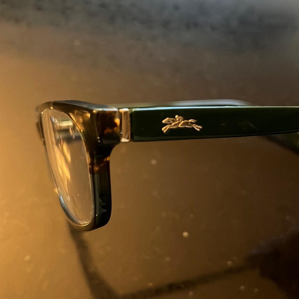 Longchamp Designer Tortoise Frames - image 3